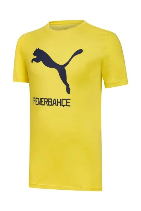 Fenerbahçe Erkek T-Shirt