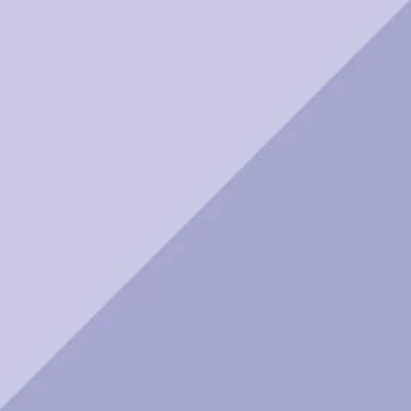 Zig Brushables 2 Renk Tonu Fırça Uçlu Marker Kalem 803 English Lavender ürün görseli