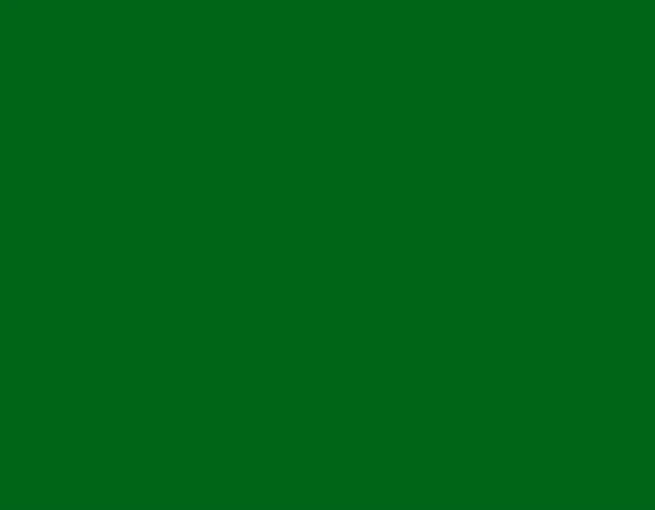 Maries Akrilik Boya 500ml A-6500B-568 Sap Green