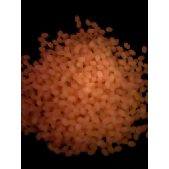 Eagenset Fosforlu Glow Turuncu Silikonlu Yumuşak Boncuk Olta Takımı, Çapari, Jig Yapım Malzemesi 50 Adet - 6