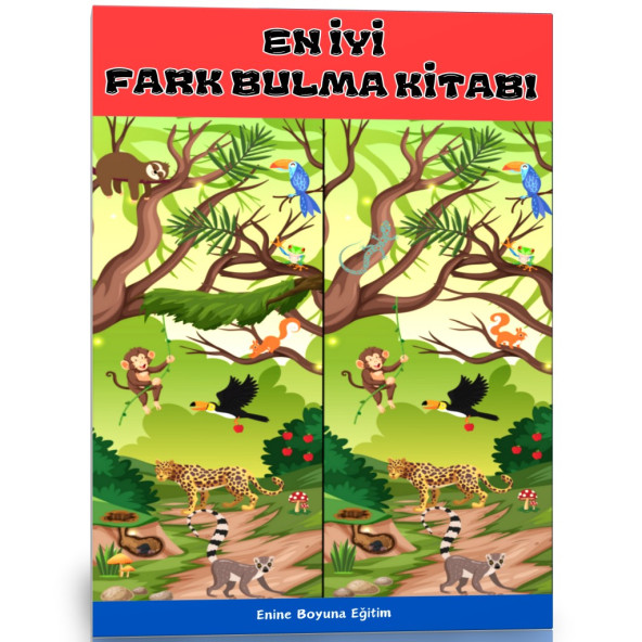 En İyi Fark Bulma Kitabı