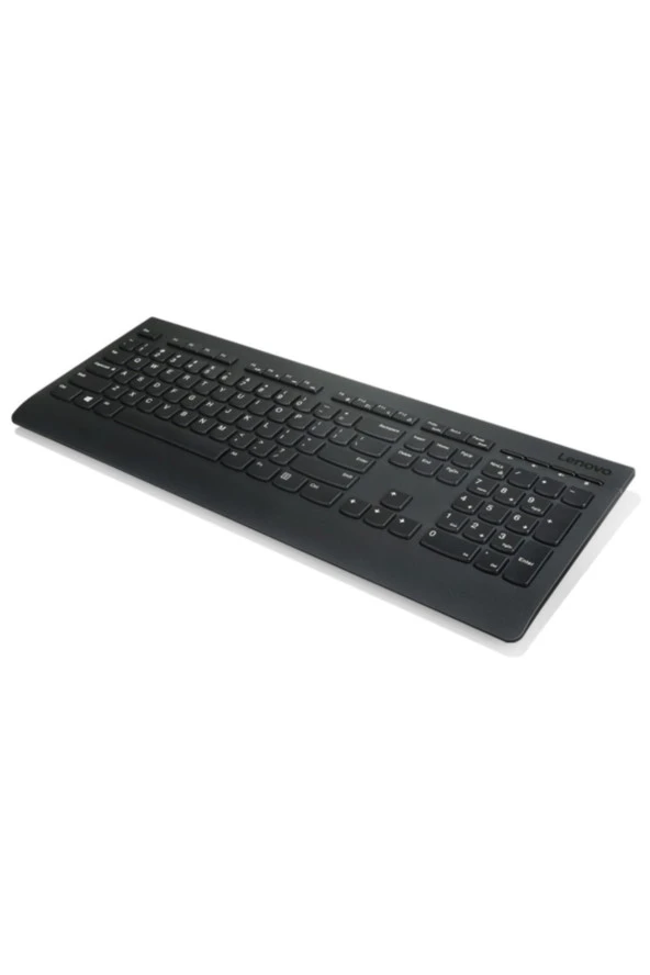 Lenovo Professional Wireless Combo Klavye & Mouse Set 4X30H56827 - 5