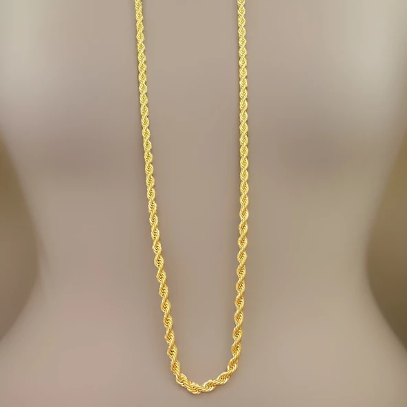 Özel Günlerin Burgusu: Gold Renkli Burgu Model Çelik Kolye! ürün görseli 1