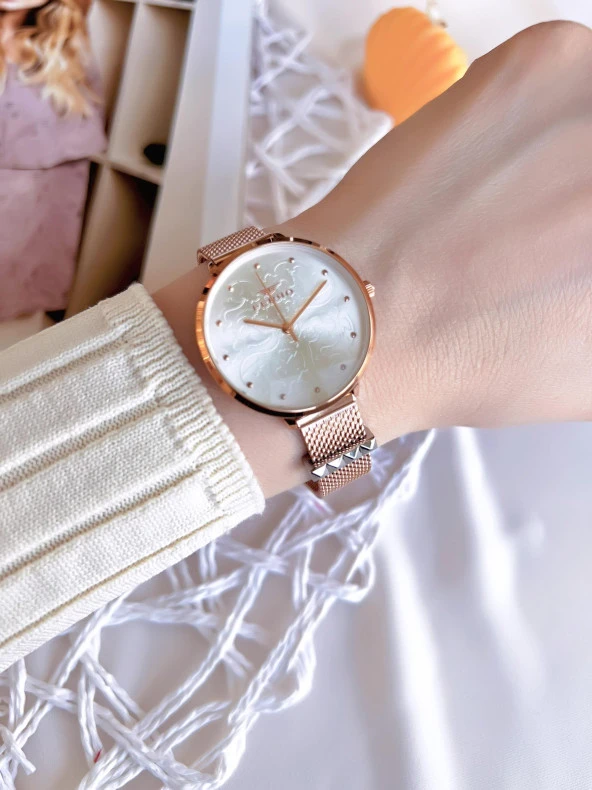 Ferro Hasır Kordonlu Rose Gold Kararmaz Renk Atmaz 3 Atm Özel Tasarım Kadın Kol Saati BF21087CWT-C - 3