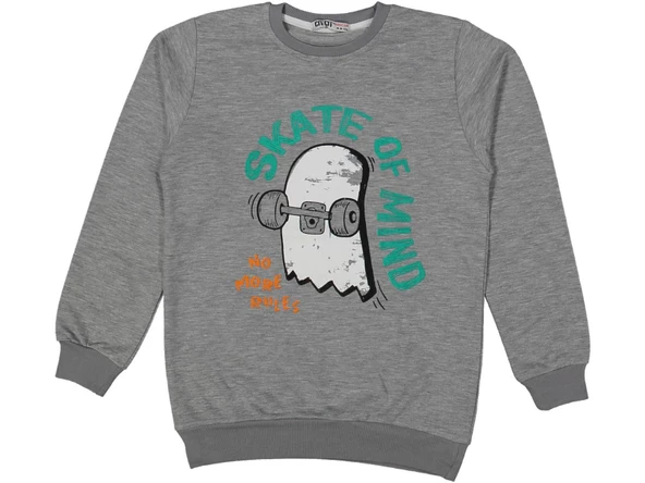 Erkek Çocuk Kay Kay Baskılı Sweatshirt BGL-ST03677 - 3