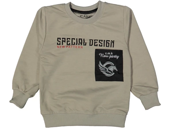 Erkek Çocuk Specıal Baskılı Sweatshirt BGL-ST03679 - 4