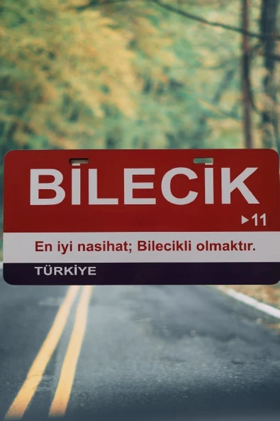 Bilecik Şehir Temalı Plaka Sök-Tak Pratik yeni nesil - 1