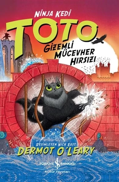 Ninja Kedi Toto – Gizemli Mücevher Hırsızı