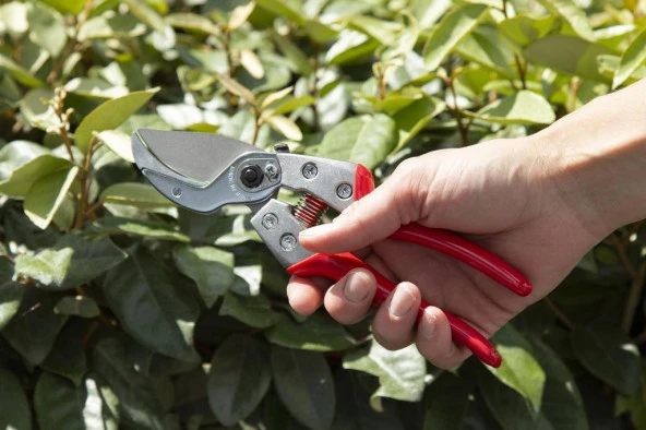 Ars Va-7Z Budama Makası - Resim 8