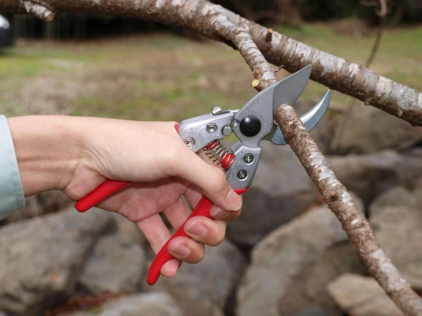 Ars Va-7Z Budama Makası - Resim 11