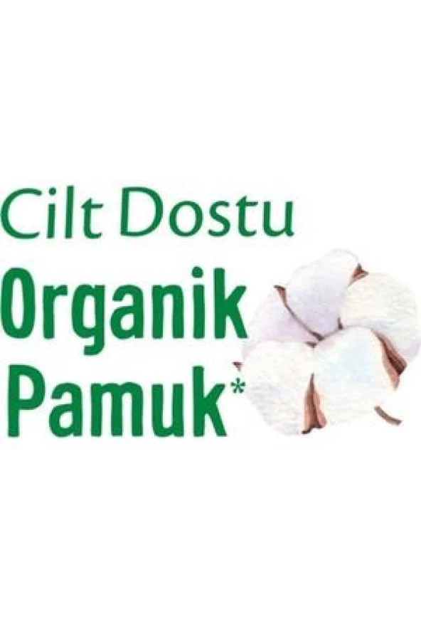 Molped Extra Hijyen Antibakteriyel Uzun Ped 18'li - 3