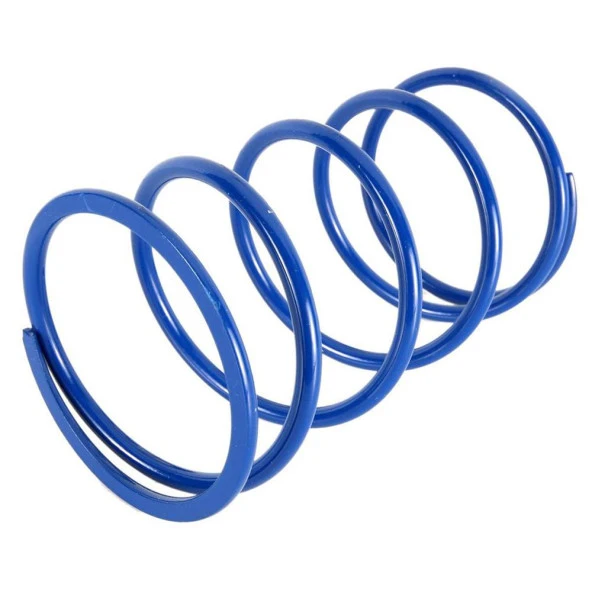 Polini Varyatör Yayı KYMCO-SYM 243.110 ürün görseli 1