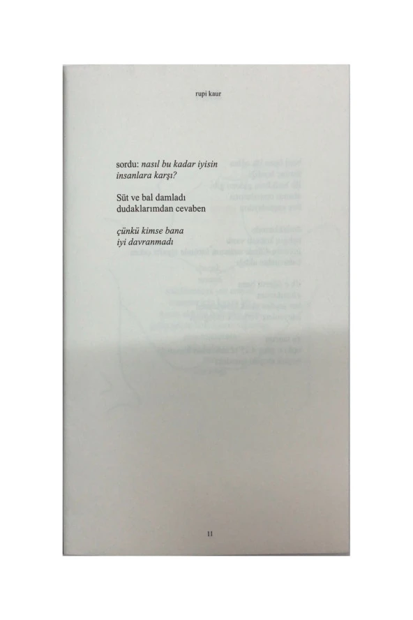 Süt Ve Bal - Rupi Kaur - 3
