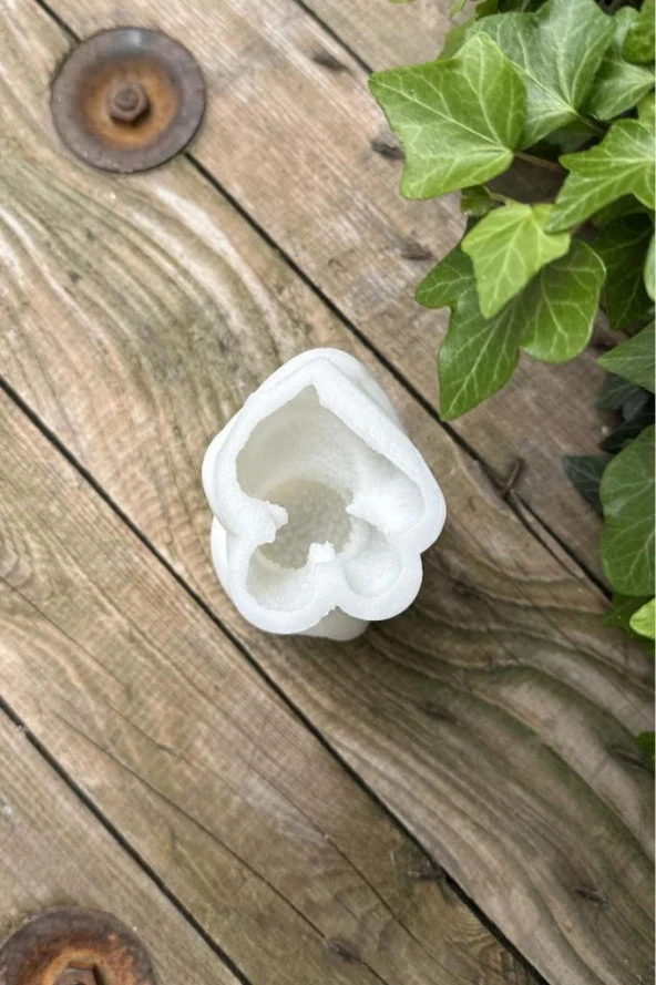 Poodle Köpek Mum Kalıbı (SİLİKON) (1 ADET) - Resim 6