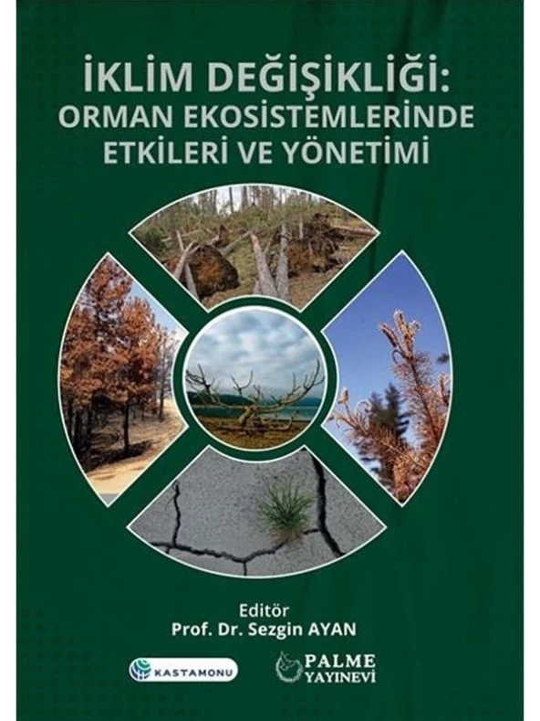 İKLİM DEĞİŞİKLİĞİ ORMAN VE EKOSİSTEMLERİNDE ETKİLERİ VE YÖNETİMİ (PALME)