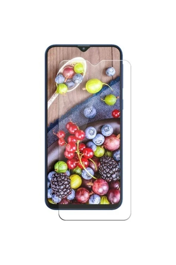 Telbor Samsung Galaxy A20 Nano Cam Ekran Koruyucu Şeffaf Extra Darbe Emici