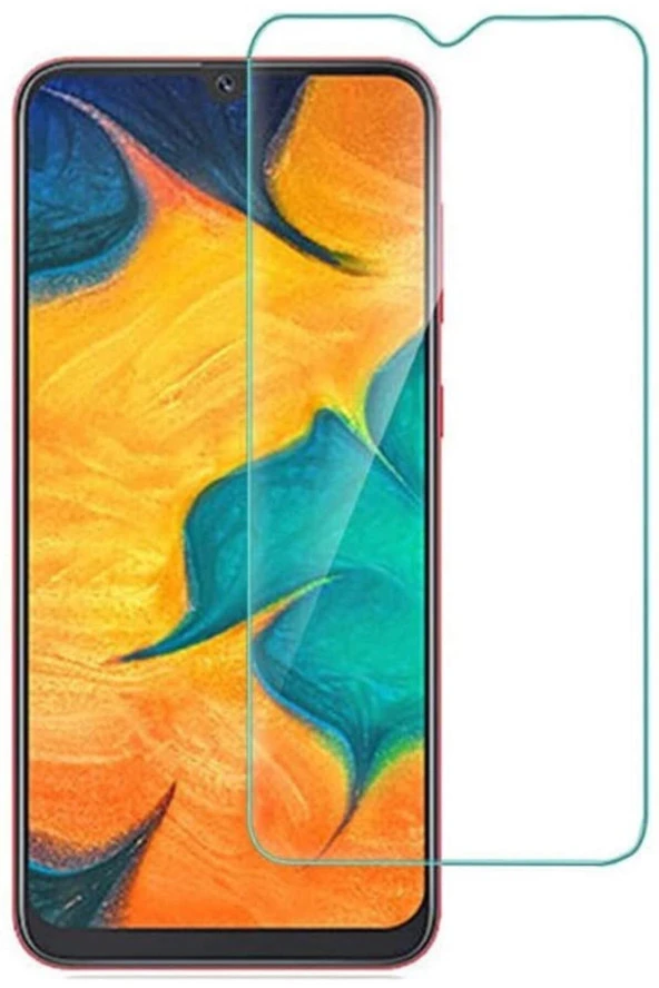 Samsung Galaxy A20 Nano Cam Kırılmaz Cam Ekran Koruyucu Ultra Koruma