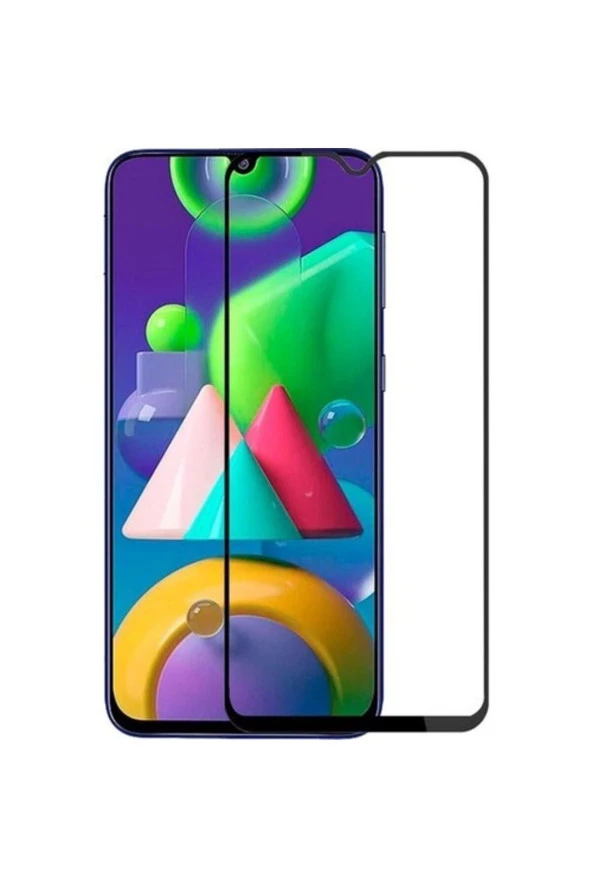 Samsung Galaxy M21 Ekran Koruyucu Extra Ince