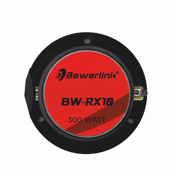 Bawerlink BW-RX10 10cm Profesyonel Tweeter Takımı 300 Watt 2 adet - 2