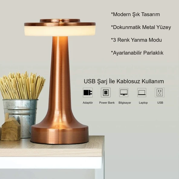 HyMark Retro Şarjlı Dekoratif Dokunmatik Metal Masa Lambası 3 Renk Mod Dim Edilebilir - 2