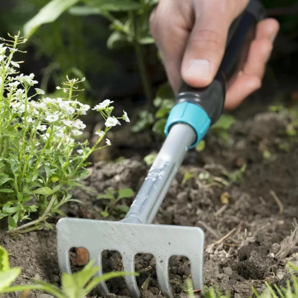 08958 Comfort Çiçek Tırmığı - Resim 3