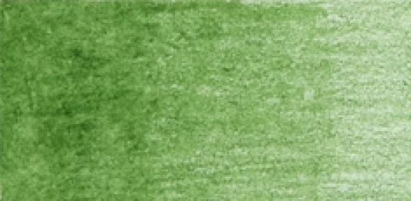 Derwent Coloursoft Kuru Boya Kalemi Pea Green C430