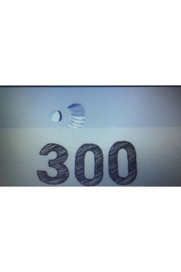 Yanyu 300 Badminton Topu 6'lı - 6