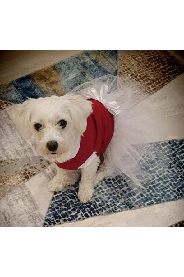 Gobo  Beyaz Fiyonklu Tüllü Kırmızı Kedi Köpek Kıyafeti Elbisesi
