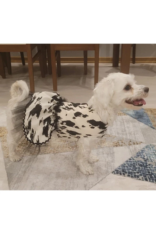 Gobo  Siyah Beyaz Leopar Desenli Tüllü Kedi Köpek Kıyafeti Elbisesi XSmall/XS/Beden 0