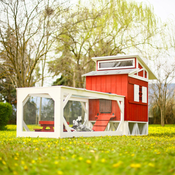 MANDU Ahşap Bahçeli Tavuk/Kuş Kümesi (Mini çiftlik)