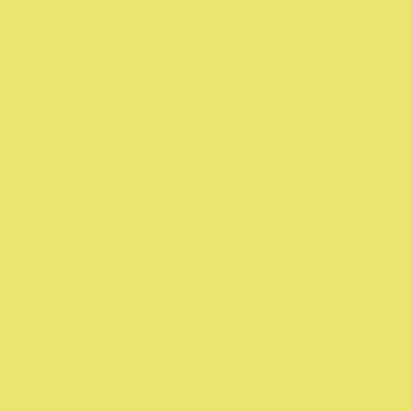Touch Twin Marker Y49 Pastel Green