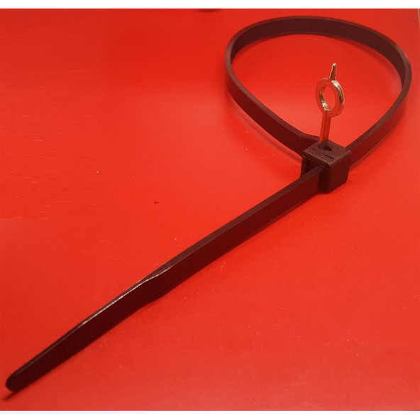 Anahtarlı Plastik kelepçe 9X500-100 Adet - 3