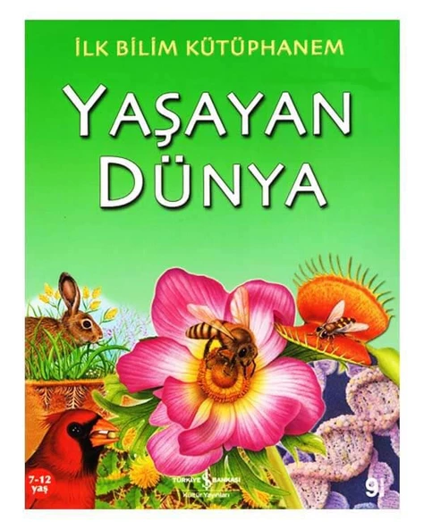 Yaşayan Dünya ve Minik Canlılar Set - 3