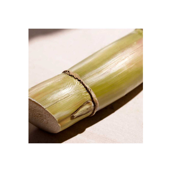 Bergamot Bambu Akoru Ve Sedir Ağacı Notalı Venture Unlimited Edt Erkek Parfümü 100 Ml - 3