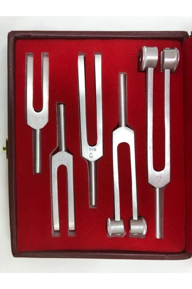 5 Li Diapozon Set Diyapozon Set Frekans 128, 256, 512, 1024 Ve 2048 - 2