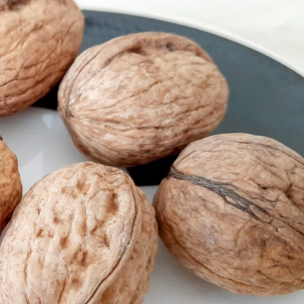 Kabuklu Ceviz 5 Kg - 2