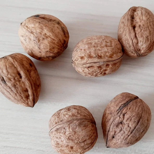 Kabuklu Ceviz 5 Kg - 3