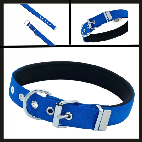 Uyguna-Yakala Royal Blue 2.5*42-50 Cm Dokuma Boyun Tasması-SMA.344 - 2