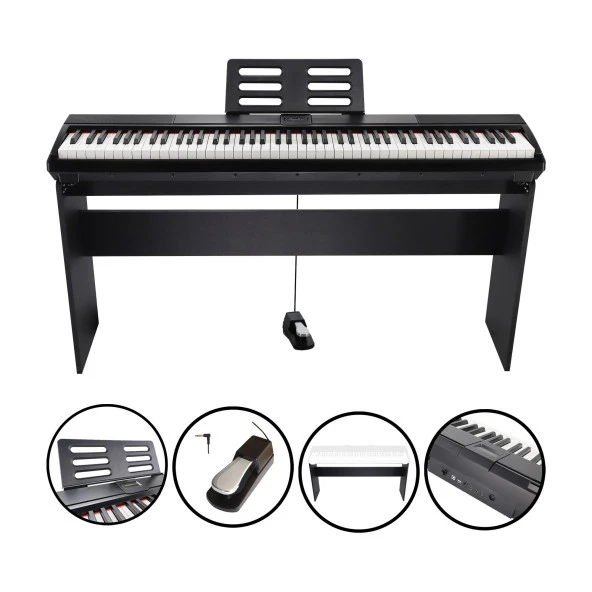 Jwin Sapphire SDP-110 Çekiç Aksiyonlu 88 Tuşlu Dijital Piyano - Siyah