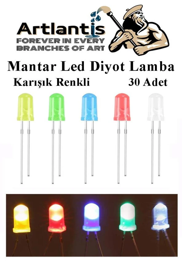 Mantar Led Diyot Lamba 30 lu 1 Paket Karışık Renkli 4.8 mm Mini Mantar Led Lamba