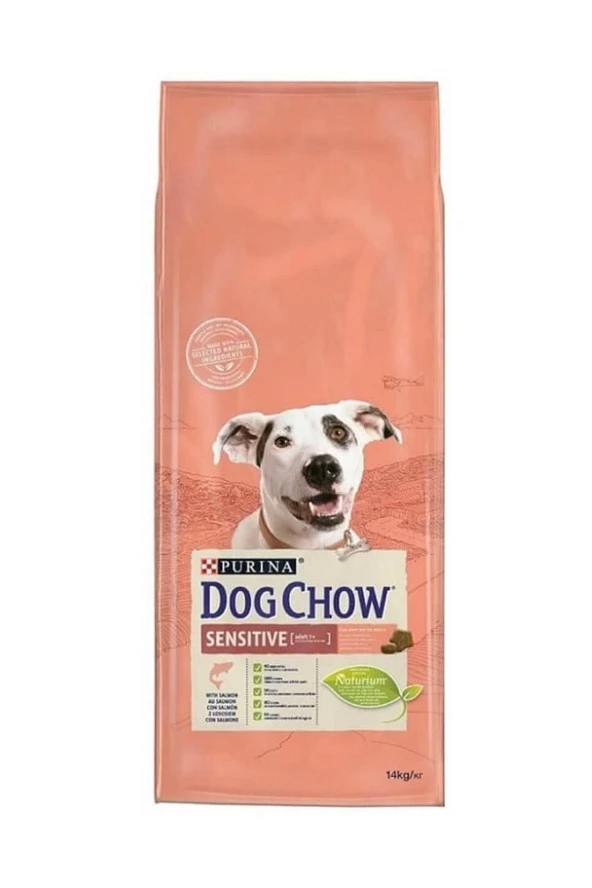 Proplan Purina Dog Chow Sensitive Somonlu Yetişkin Köpek Maması 14 Kg