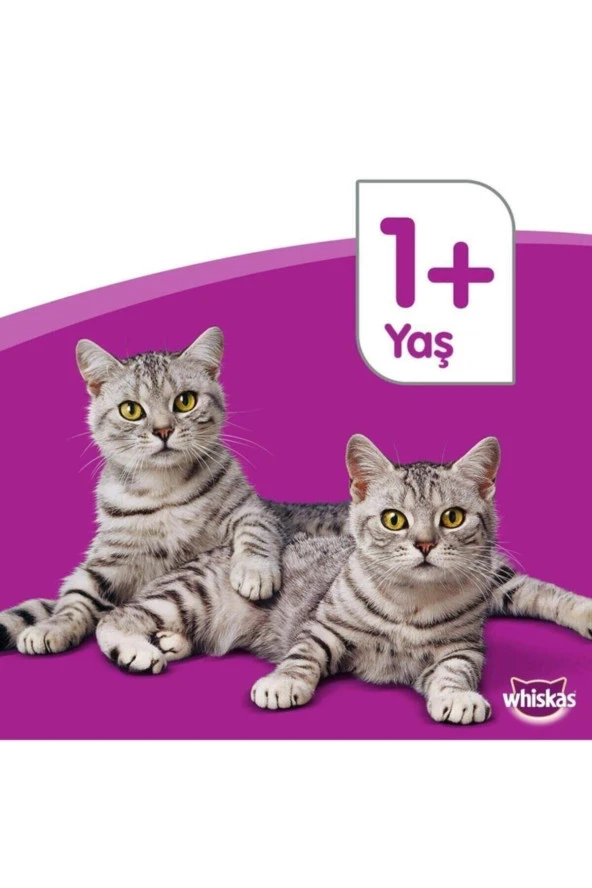 Whiskas Tavuklu Kuru Kedi Maması 1+ Yaş 300 gram (7 ADET) - Resim 3