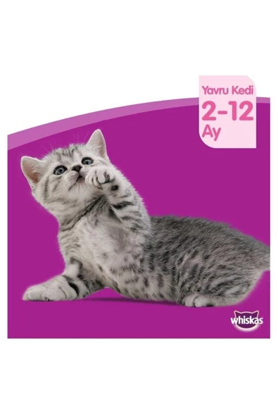 Tavuklu Kuru Yavru (2-12 AYLIK) Kedi Maması 300 gram (14 ADET) - 4