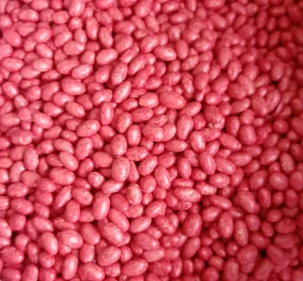 KARDELEN OTURAK ŞEKER FASULYESİ (İLAÇLI) 50 GR (ORT 125 ADET TOHUM) - 2