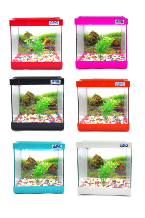 Mini Akvaryum Seti 20x20x15 akvaryum + Renkli Çakıl + Plastik Bitki + Arka Fon