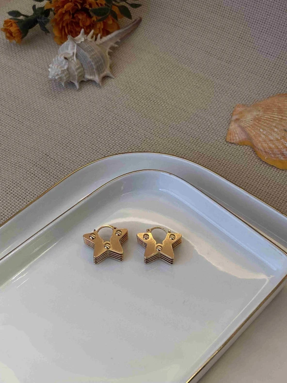 Özel Seri Kalın Yıldız Küpe ürün görseli