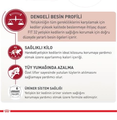 Royal Canin® Fit 32 Yetişkin Kedi Maması 400 Gr x 2 Adet - 3