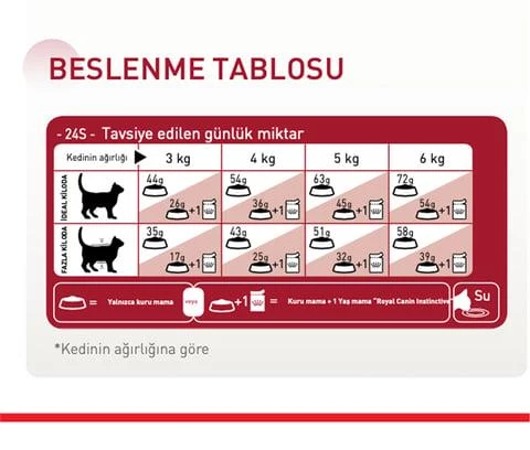 Royal Canin® Fit 32 Yetişkin Kedi Maması 400 Gr x 2 Adet - 2
