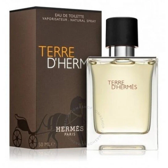 Hermes Terre D'Hermes Erkek Parfümü EDT 100 ML