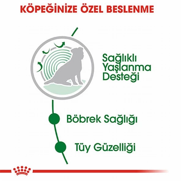 Royal Canin Mini Ageing 12+ Pouch Yaşlı Köpek Konservesi 6 Adet 85 Gr - 3